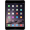 iPad Mini 1 / 2 / 3