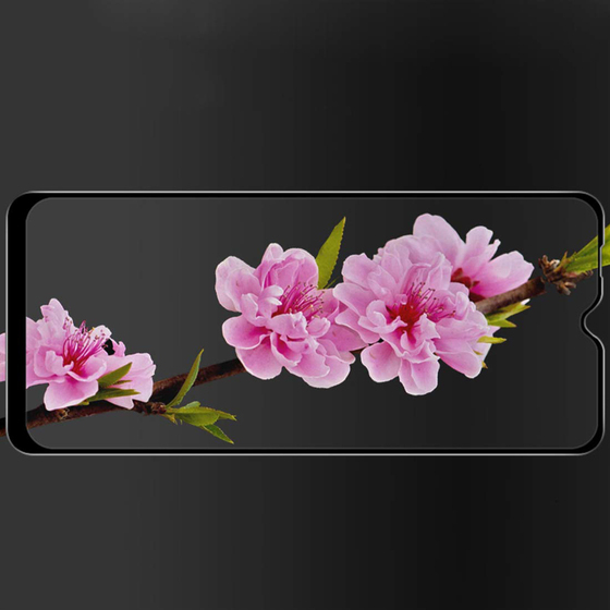 Microsonic Samsung Galaxy A20e Tam Kaplayan Temperli Cam Ekran Koruyucu Siyah