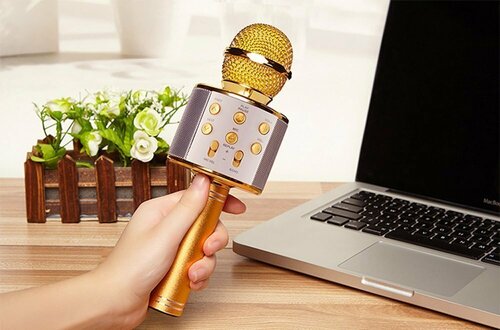 Microsonic Karaoke Bluetooth Mikrofon Rose Gold